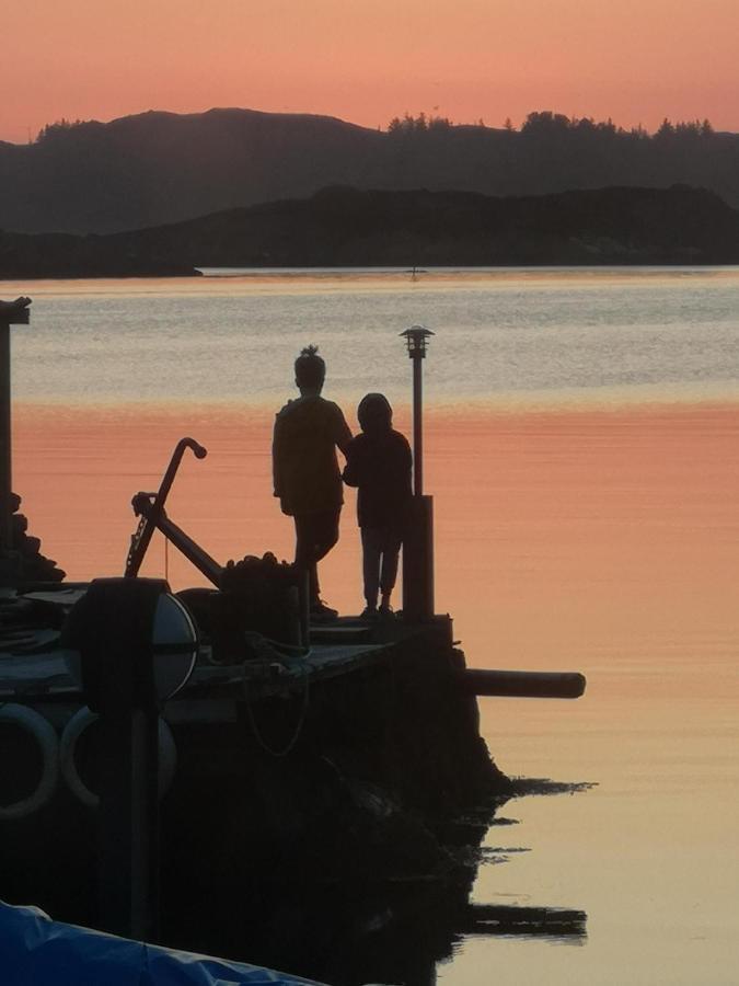 Kobbaneset Hk - Tett Pa Havet - Bekkjarvik Apartman Kültér fotó