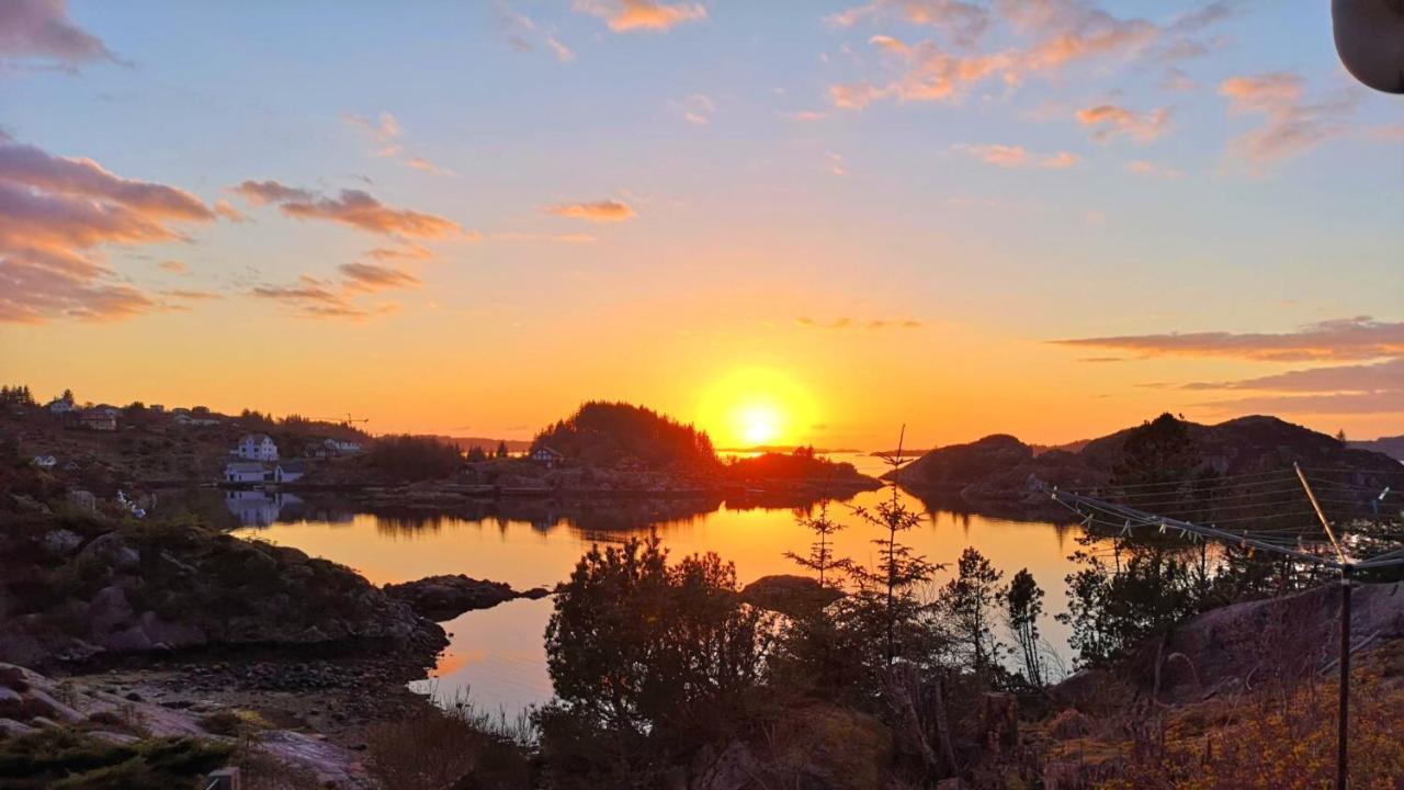 Kobbaneset Hk - Tett Pa Havet - Bekkjarvik Apartman Kültér fotó